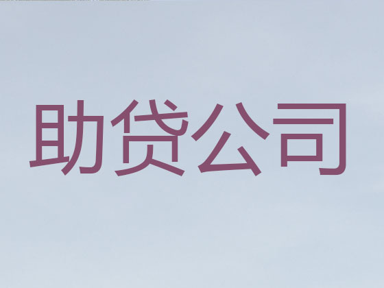 吉安抵押贷款公司-银行信用贷款